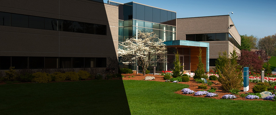 Beverly Hills Landscapers